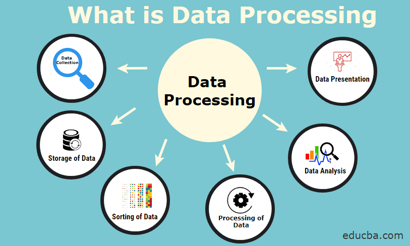 Digital Information Processed Into A Useful Form